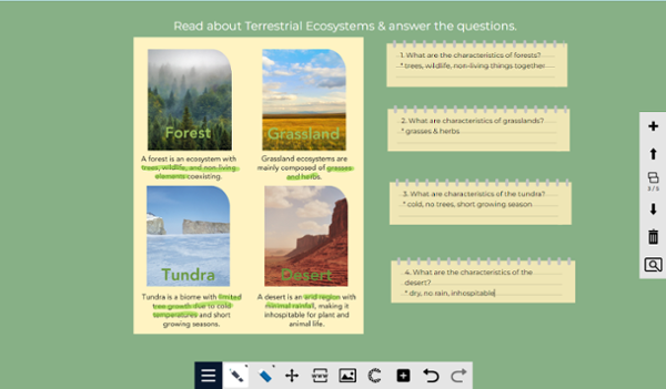 terrestrial ecosystems